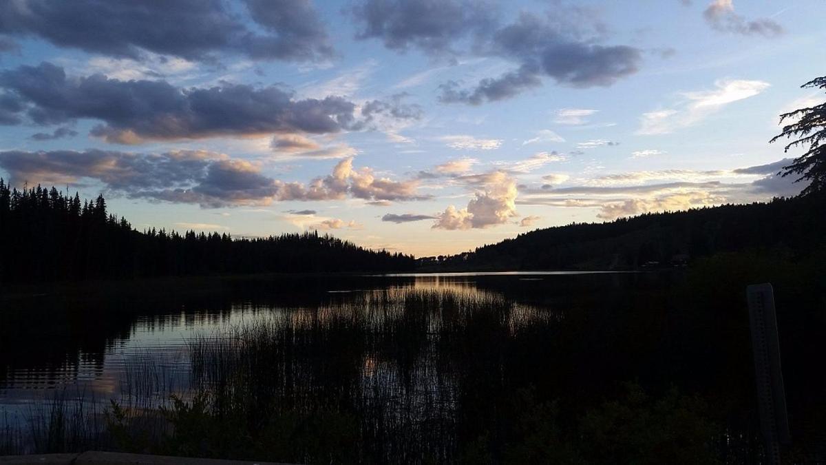 Logan Lake Lac Le Jeune Nature Resort מראה חיצוני תמונה