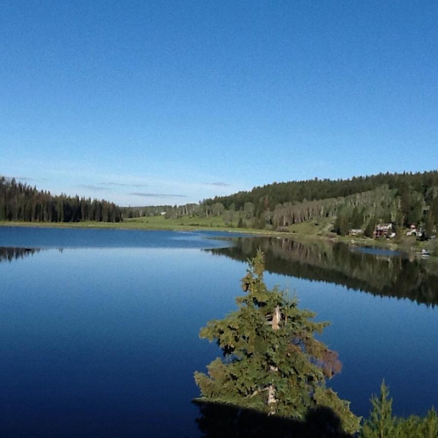 Logan Lake Lac Le Jeune Nature Resort מראה חיצוני תמונה