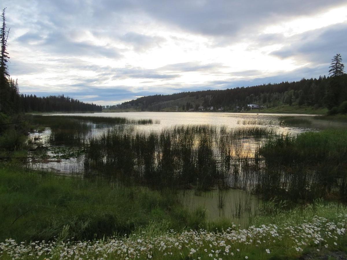Logan Lake Lac Le Jeune Nature Resort מראה חיצוני תמונה