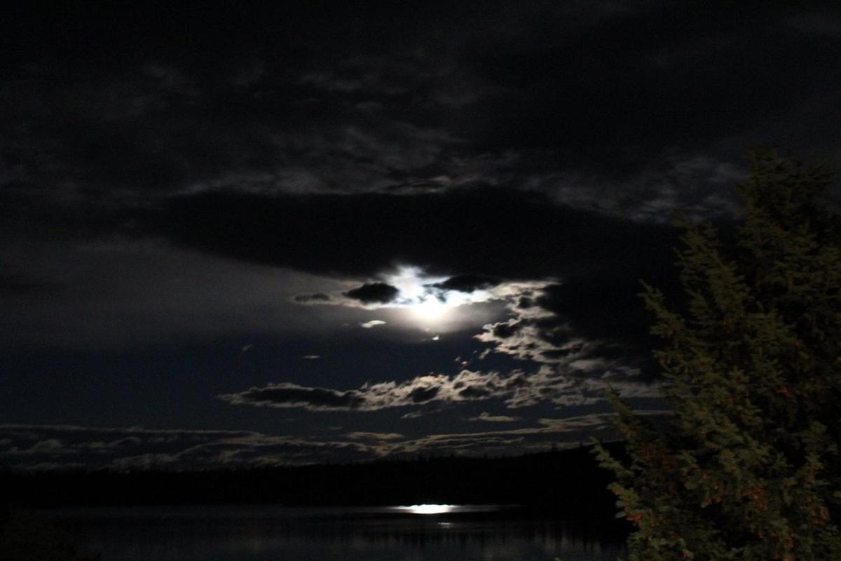 Logan Lake Lac Le Jeune Nature Resort מראה חיצוני תמונה