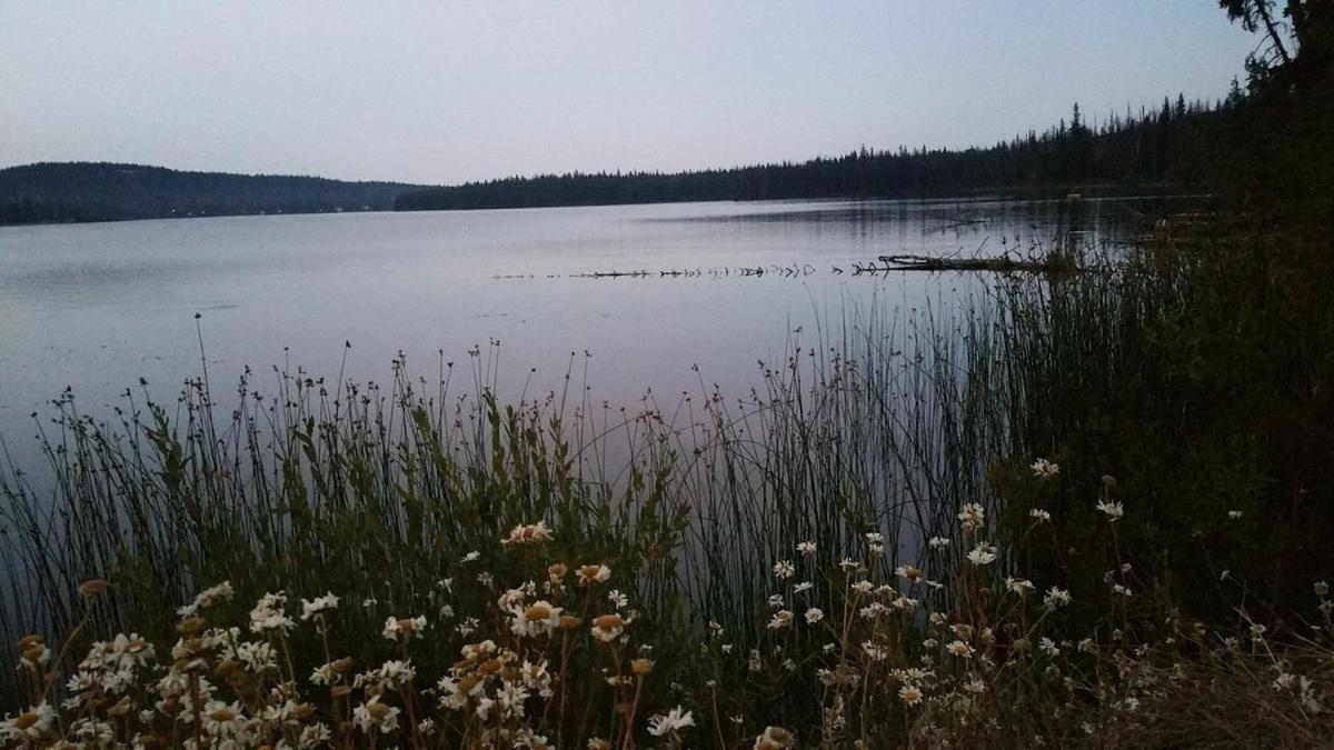 Logan Lake Lac Le Jeune Nature Resort מראה חיצוני תמונה